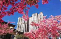 四川省攀枝花红格温泉假日酒店