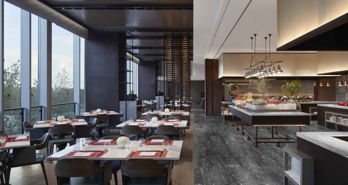 albumimg