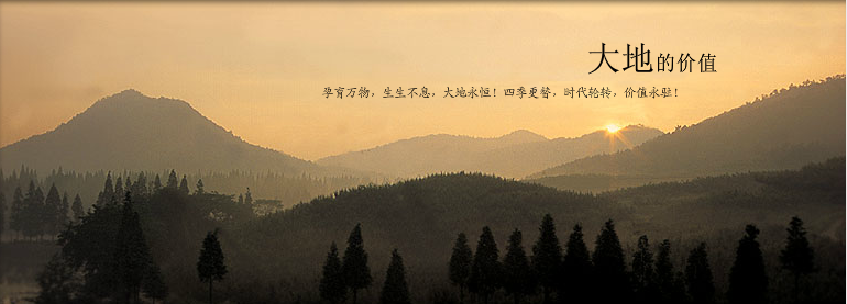 albumimg