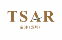 帝沙實業(深圳)有限公司