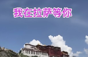 西藏百放酒店管理有限公司