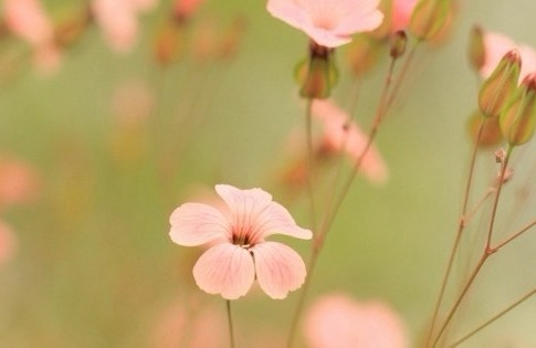 ^净博士祛痘美容诊所