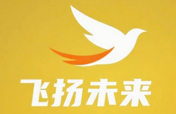 重庆飞扬未来艺术培训有限公司