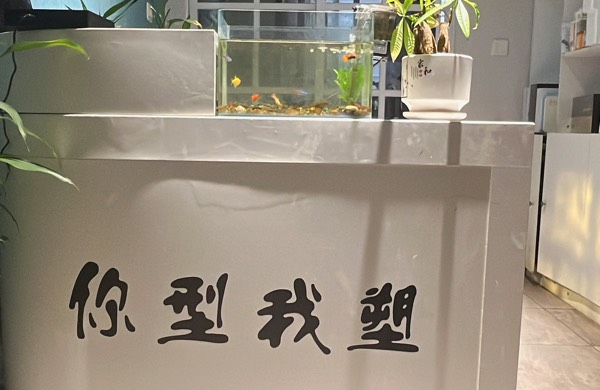 你型我塑美容养生