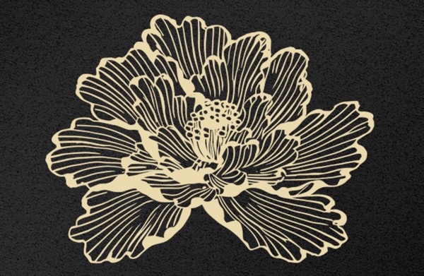 成都高新区玉锦南里五十二号饭店