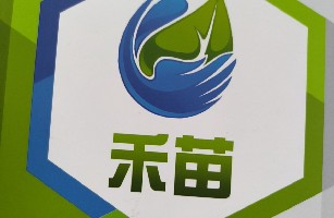 济南禾苗餐饮有限公司