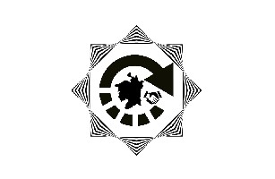 深圳市世手科技创新贸易有限公司