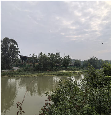 成都鸿福堂餐饮有限公司