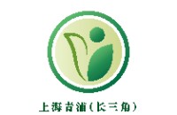 上海大见科技有限公司