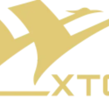 江西都昌金鼎钨钼矿业有限公司