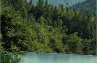 贵州梵雅管理有限公司