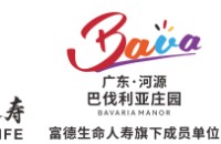 河源市巴伐利亚资产运营有限公司