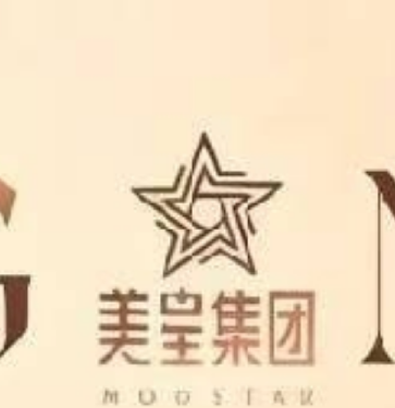 河南美之星医疗美容有限公司