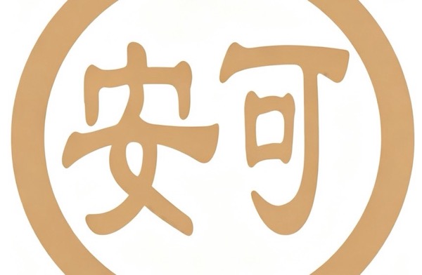 安启诚（上海）信息科技有限公司