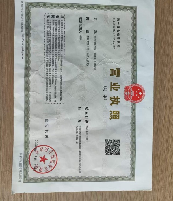 深圳肖恩控股（集团）
