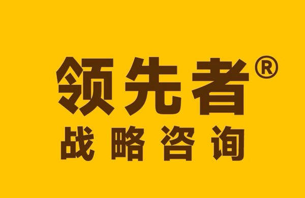 广州领先者战略咨询有限公司