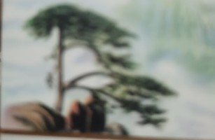 西安唤弛兆酒店管理有限公司