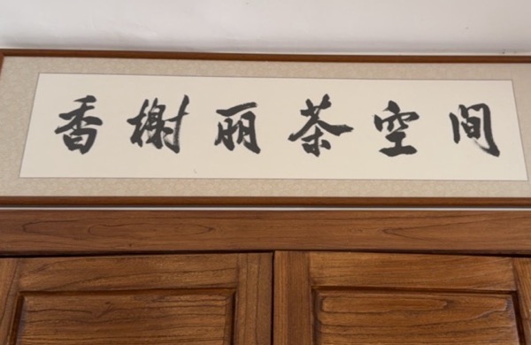 上海新植文化传播有限公司