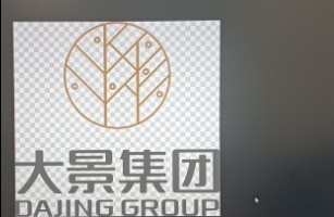 陕西大景集团控股有限公司